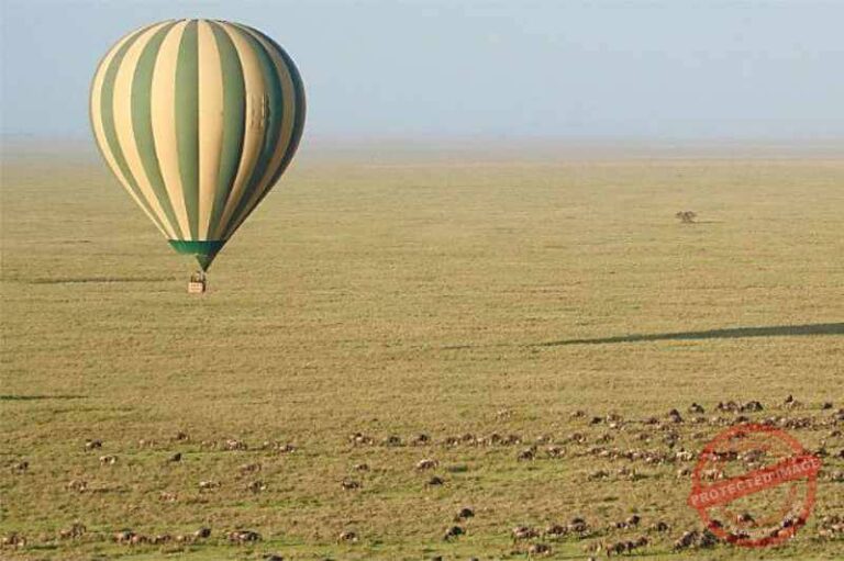 Ballonfahrten im Ruaha National Park, Tanzania