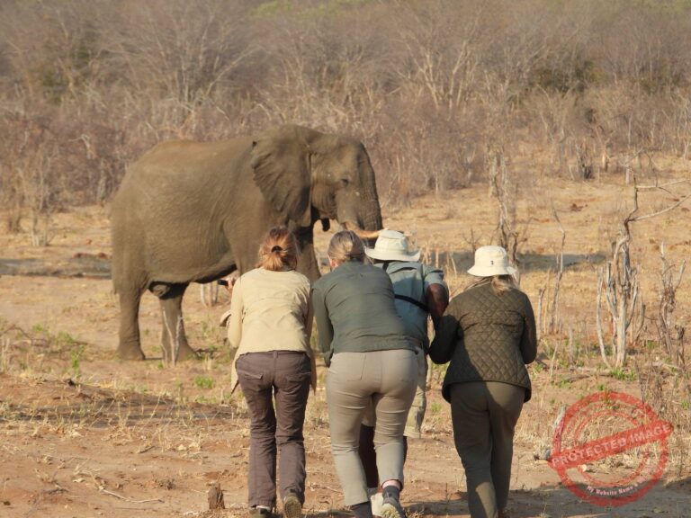 “Direct approach”