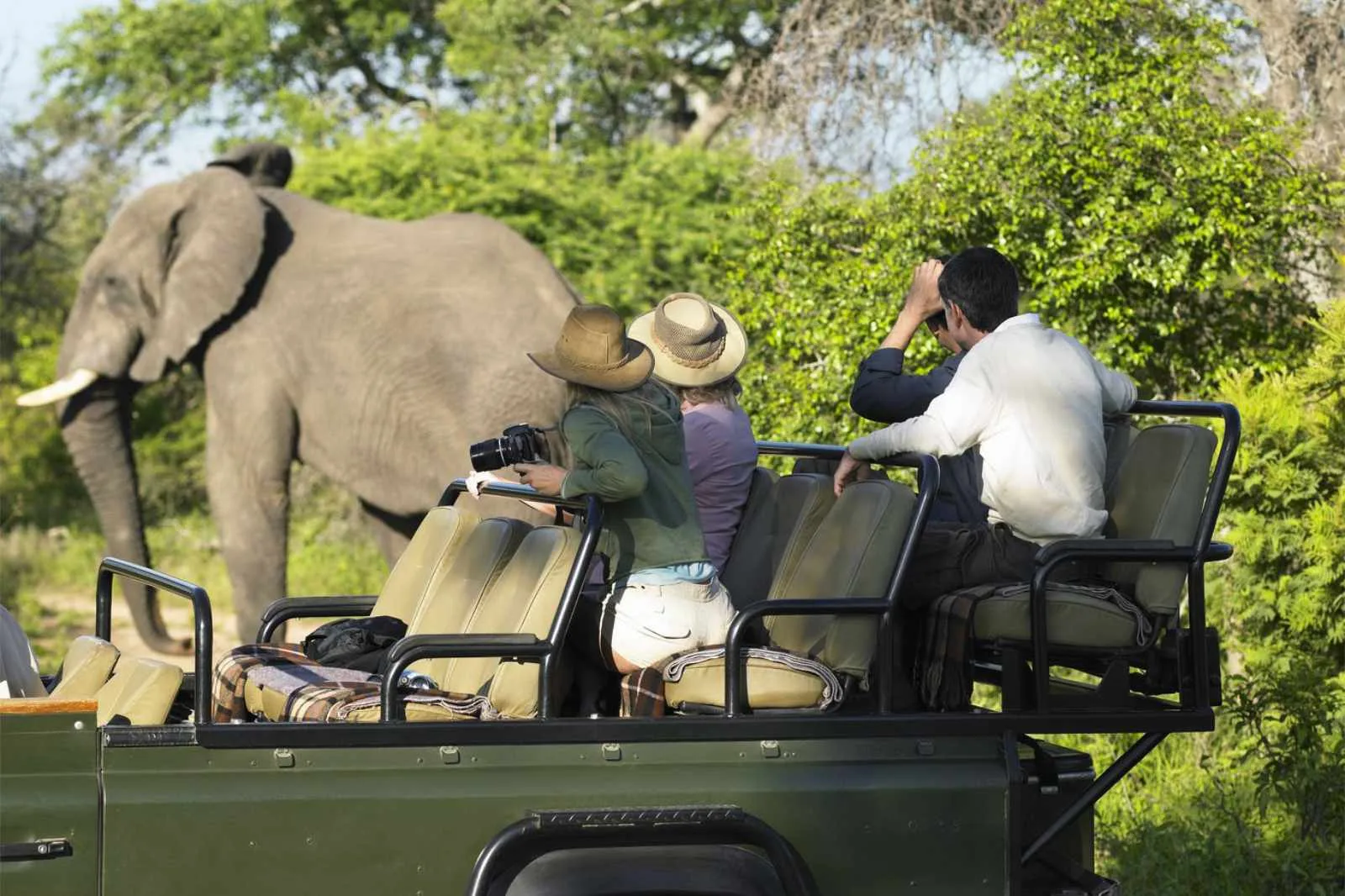 familiensafaris