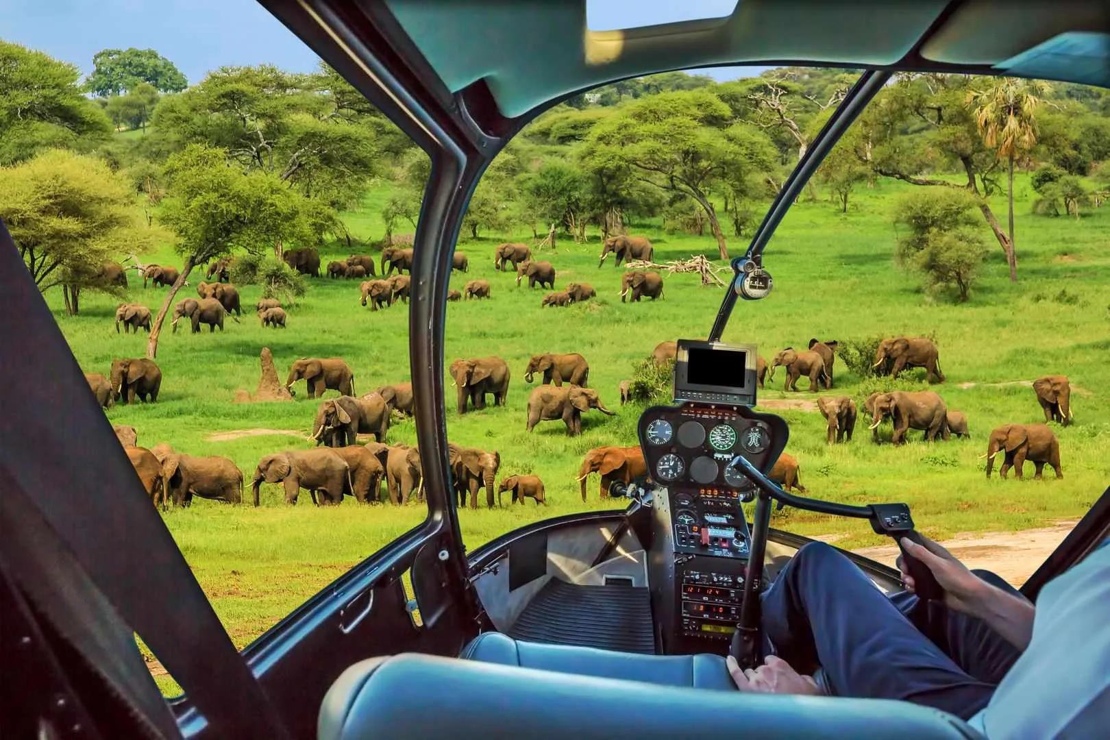 flugsafaris1